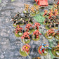 Primaris Blood Angels Army Space Marines Warhammer 40k