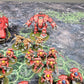 Primaris Blood Angels Army Space Marines Warhammer 40k