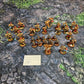Adeptus Custodes Army Warhammer 40k