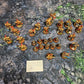 Adeptus Custodes Army Warhammer 40k