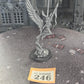 Baharroth #246 Aeldari Warhammer 40k