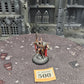 Chaos Lord #500 Slaves to Darkness AOS Warhammer 40k