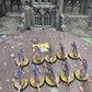 10x Termagants #535 Tyranids Warhammer 40k