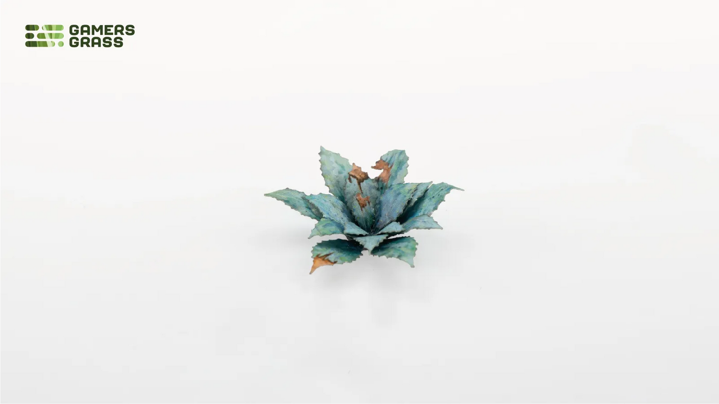 Blue Agave