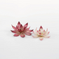 Lotus Flower