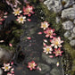 Lotus Flower