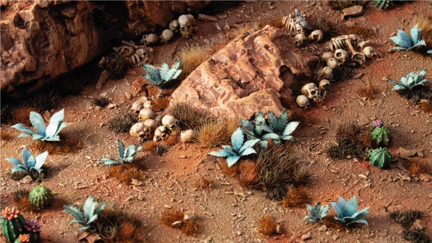 Blue Agave