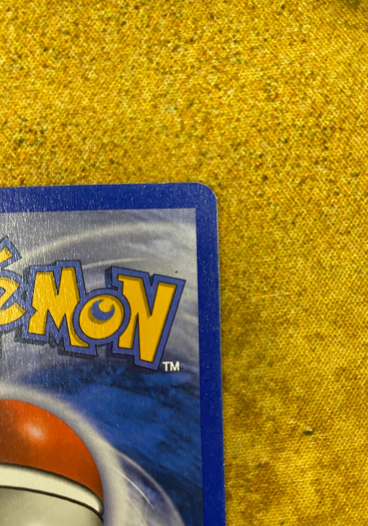 Raikou Non-Holo 28/144 Skyridge Single Pokémon Card