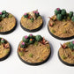 Barrel Cacti Basing Bits