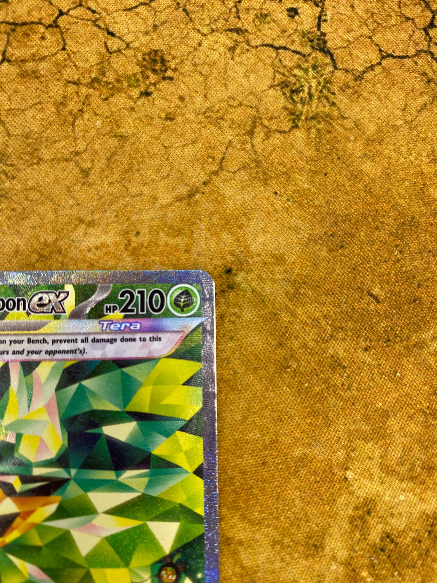 Teal Mask Ogerpon EX Special Illustration Rare 211/167 Twilight Masquerade Single Pokemon Card