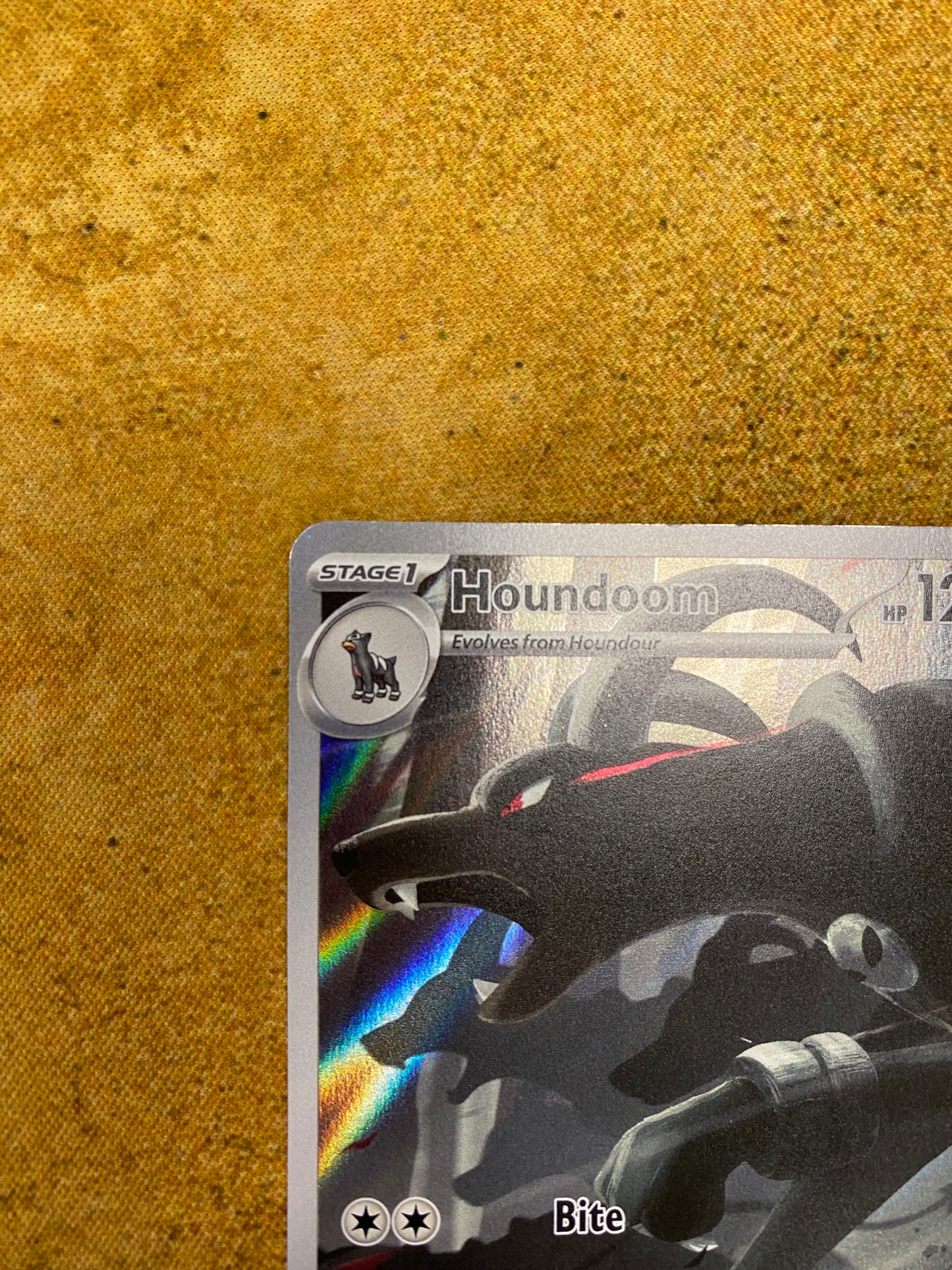 Houndoom Illustration Rare 066/064 Shrouded Fable Single Pokemon Card
