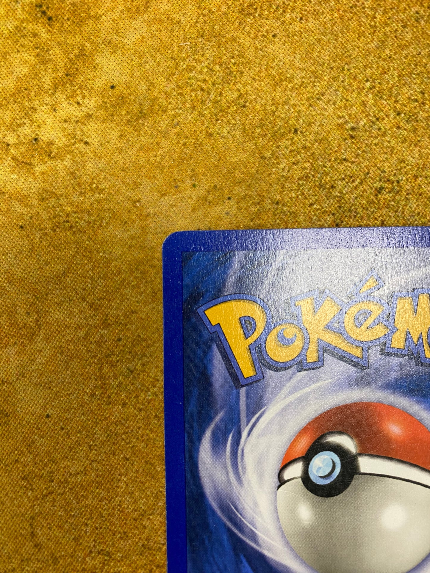 Raikou Non-Holo 28/144 Skyridge Single Pokémon Card