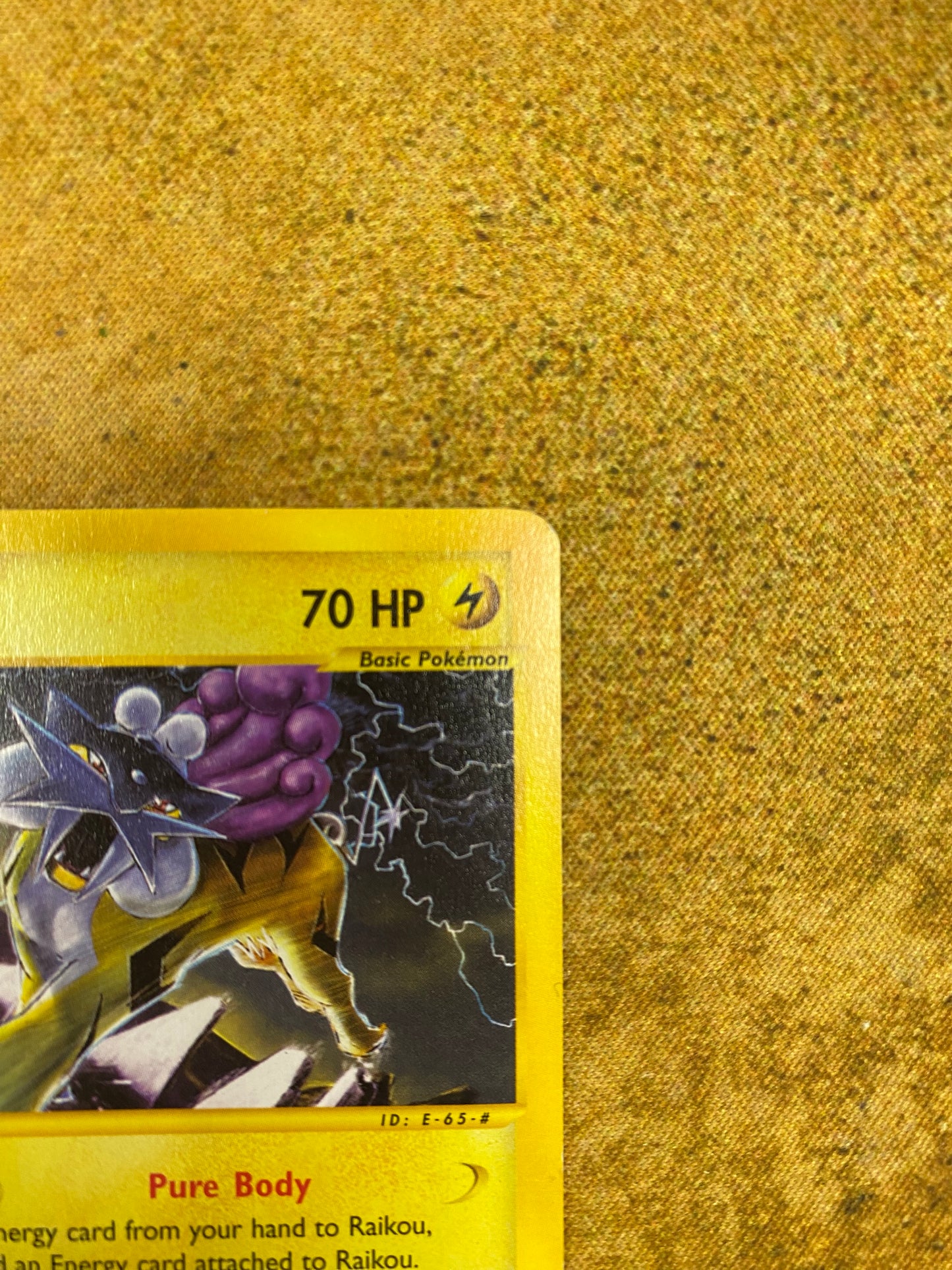 Raikou Non-Holo 28/144 Skyridge Single Pokémon Card