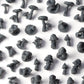 Forest Mushrooms Basing Bits