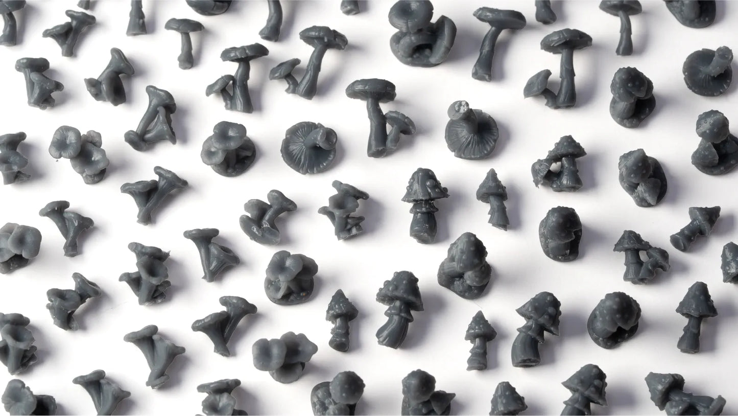Forest Mushrooms Basing Bits