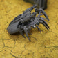Canoptek Spyder #328 Necrons Warhammer 40k