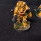 5x Primaris Terminator Squad #881 Very Well Painted Imperial Guard Space Marines Warhammer 40k