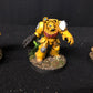 5x Primaris Terminator Squad #881 Very Well Painted Imperial Guard Space Marines Warhammer 40k