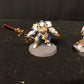 5x Terminator Squad #894 Grey Knights Space Marines Warhammer 40k