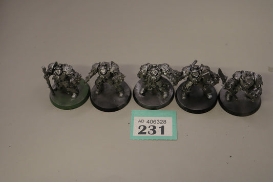 5x Grey Knights Terminators 231 Grey Knights OOP Warhammer 40k