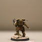 Primaris Lieutenant in Phobos Armour #427 Space Marines Warhammer 40k
