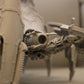Greater Brass Scorpion #1 FORGEWORLD Chaos Space Marines Warhammer 40k