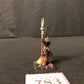 Chaos Sorcerer #783 Disciples of Tzeentch AOS Warhammer 40k