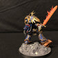 Roboute Guilliman #986 Well Painted Space Marines Warhammer 40k