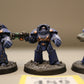 5x Tartaros Terminator Squad #489 VERY Well Painted Space Marines Legiones Astartes Warhammer 40k 30k
