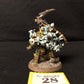 Typhus Herald of the Plague God #28 Well Painted Death Guard Warhammer 40k
