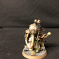 Foul Blightspawn #29 Well Painted Death Guard Warhammer 40k