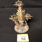 Foetid Bloat-drone #56 Death Guard Warhammer 40k