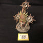 Foetid Bloat-drone #57 Death Guard Warhammer 40k