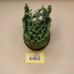Ravenak's Gnashing Jaws #602 VERY Well Painted Endless Spells Warhammer 40k AOS