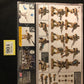 Cadian Shock Troops BNIB #106 Astra Militarum Warhammer 40k