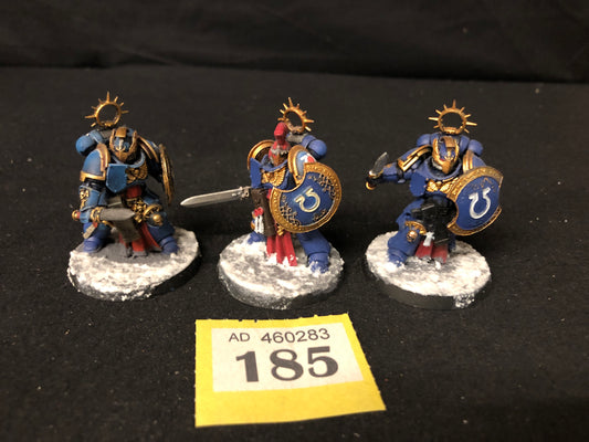 3x Primaris Bladeguard Veterans Custom #185 Well Painted Space Marines Warhammer 40k