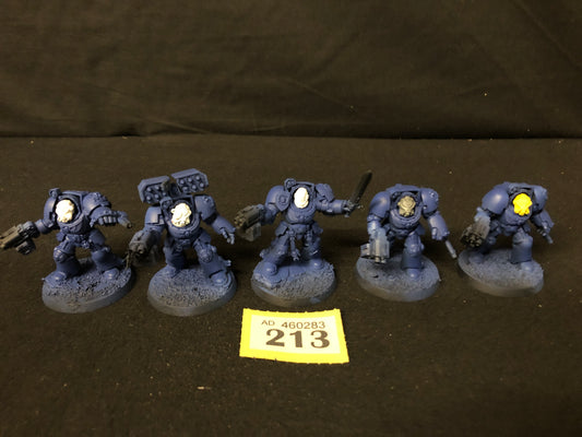 5x Primaris Terminator Squad #213 Space Marines Warhammer 40k