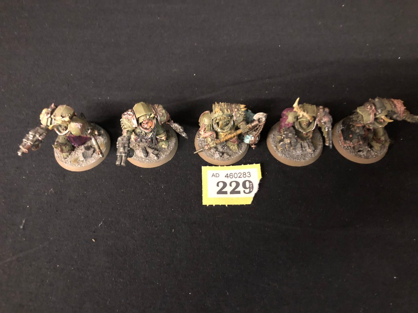 5x Blightlord Terminators Squad #229 Very Well Painted Death Guard Warhammer 40k