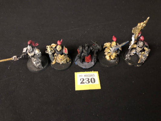 5x Custodian Wardens #230 Adeptus Custodes Warhammer 40k