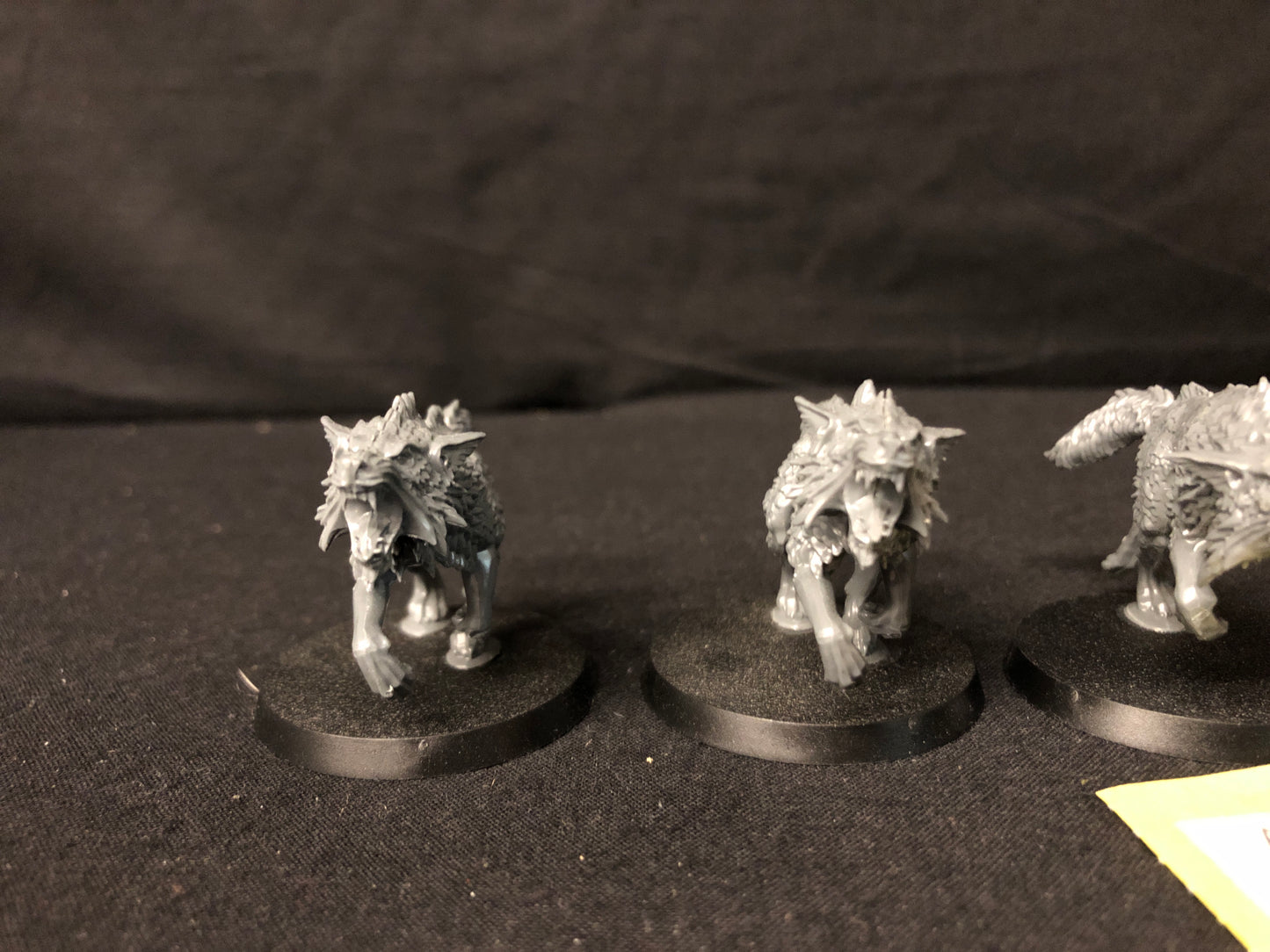 5x Fenrisian Wolves #231 Space Wolves Space Marines Warhammer 40k