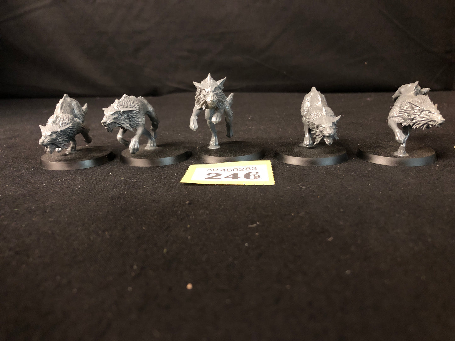 5x Fenrisian Wolves #246 Space Wolves Space Marines Warhammer 40k