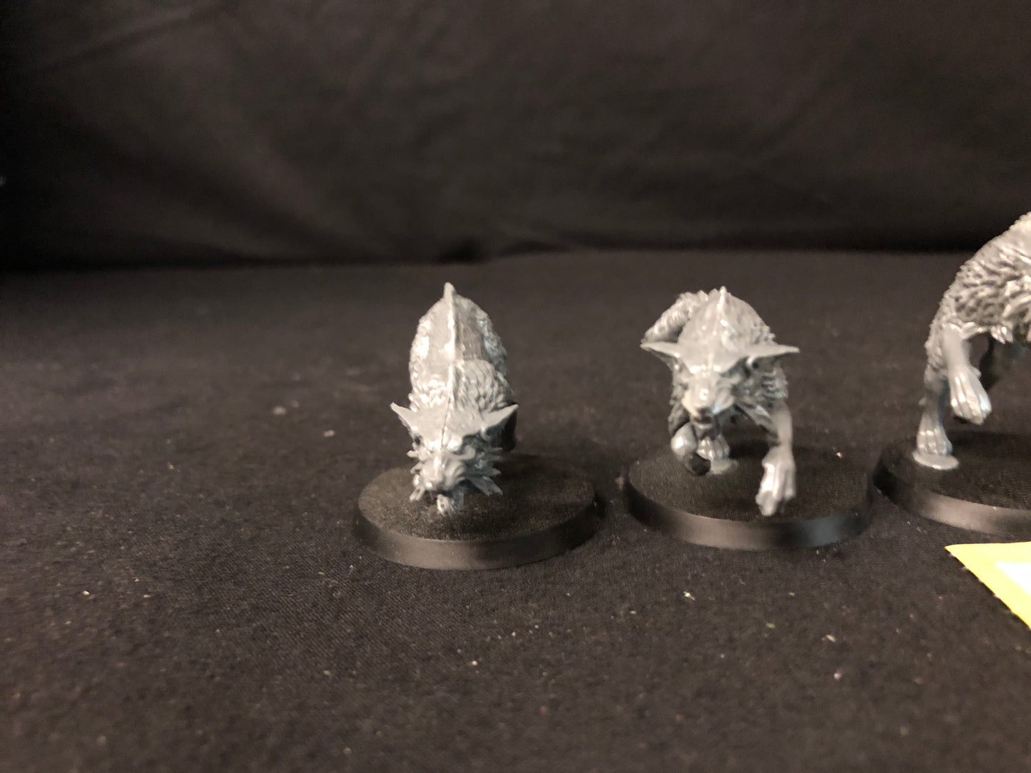 5x Fenrisian Wolves #246 Space Wolves Space Marines Warhammer 40k