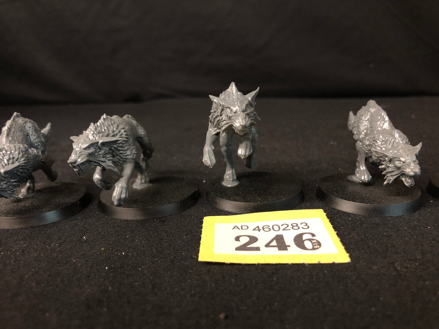 5x Fenrisian Wolves #246 Space Wolves Space Marines Warhammer 40k