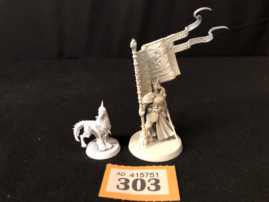 Knight Vexillor #303 Stormcast Eternals AOS Warhammer 40k