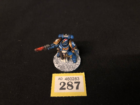 Primaris Bladeguard Lieutenant #287 Very Well Painted Space Marines Warhammer 40k