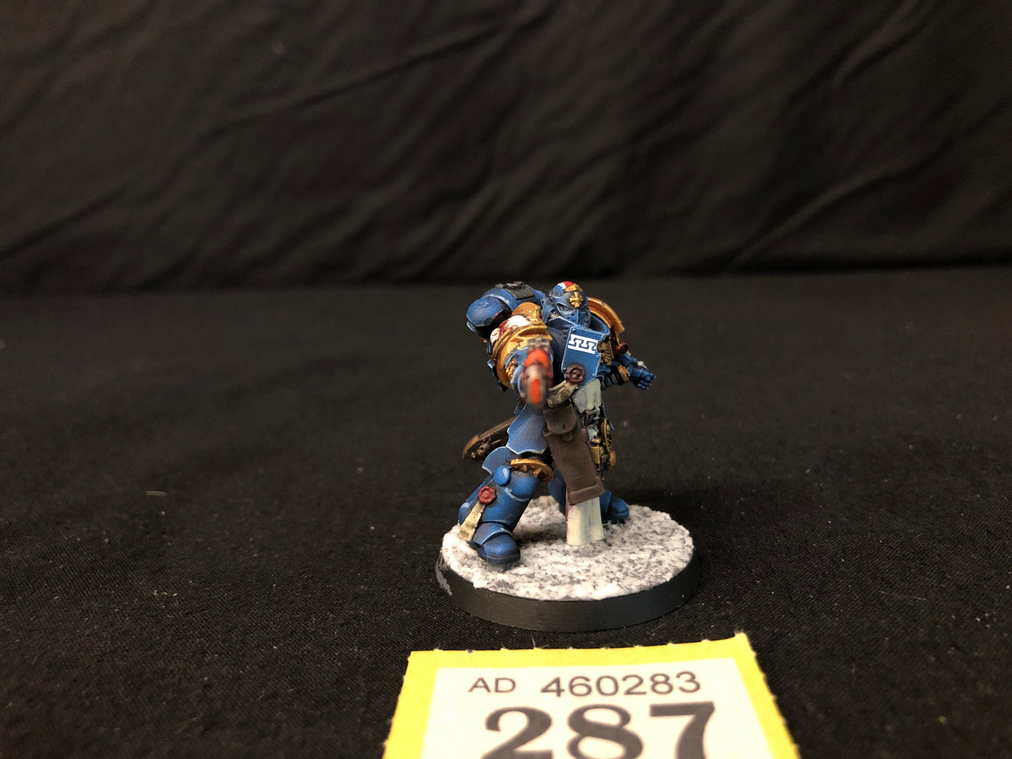 Primaris Bladeguard Lieutenant #287 Very Well Painted Space Marines Warhammer 40k