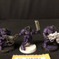 5x Scouts #339 Space Marines Warhammer 40k