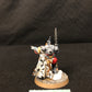 Primaris Captain in Phobos Armour #220 Well Painted Space Marines Warhammer 40k