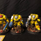 5x Primaris Terminator Squad #381 Space Marines Warhammer 40k
