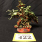 Painboss #422 Orks Warhammer 40k